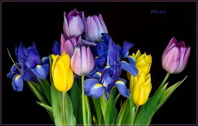 Spring Bouquet 4-05-24