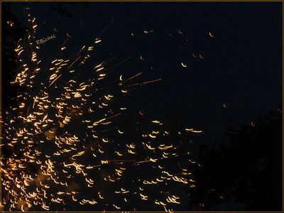 The Fireworks Next Door