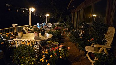 Moonlight Over the Summer Deck 7-20-24