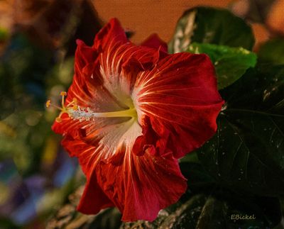 g13/92/77692/3/174783014.f97b4007.JPEG
