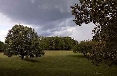 g13/92/77692/3/174842049.0d5b6893.JPEG