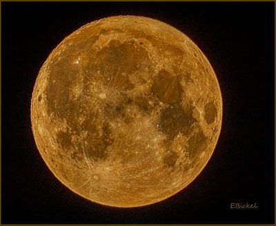 World Photography Day 2024