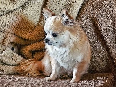 Lazy Afternoon 9-16-24