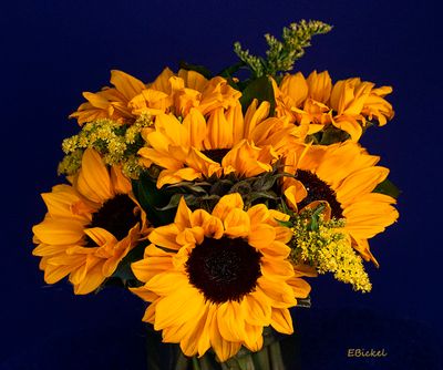 Yellow Flowers
