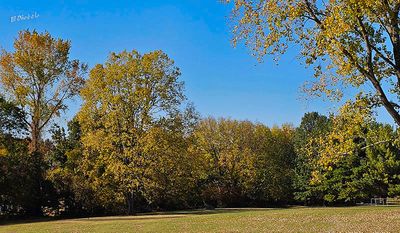 Across the Street 10-19-24