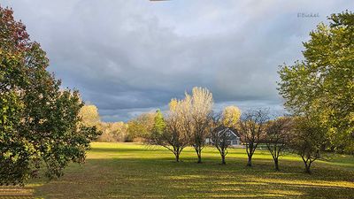 Between Rains