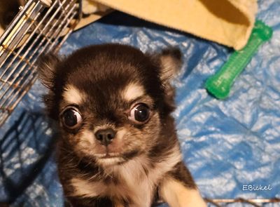 Pick Me Up!!! 11-21-24