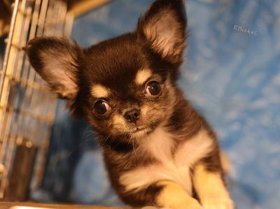 9 Week Old Baby 11-20-24