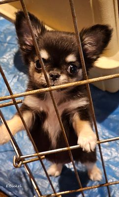 Behind Bars 11-26-24