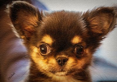 Too Cute 11-28-24