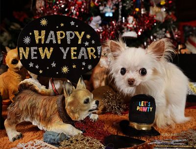 Happy New Year!!! 12-31-24