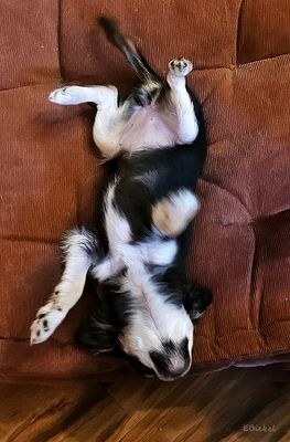 Upside-Down  1-09-25