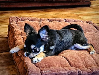 Just a Tiny Bite 1-21-25