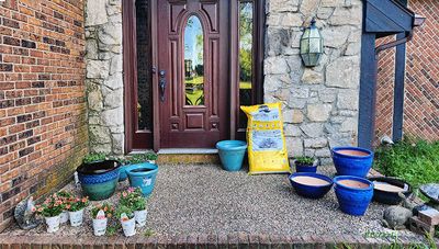 Let's Landscape Again
