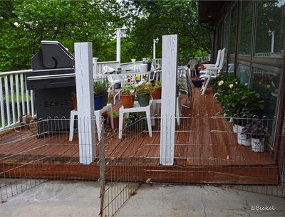 New Fence Building 5-07-25