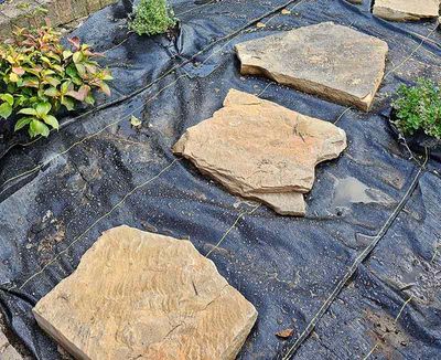 Let's Landscape Again