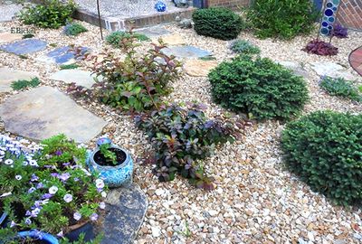 Landscaping Results: Phase #1
