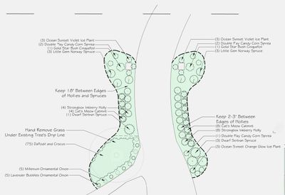 Landscaping Work: Phase #2