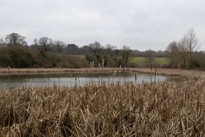 05 Deene Park.jpg