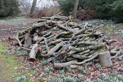 06 Deene Park.jpg