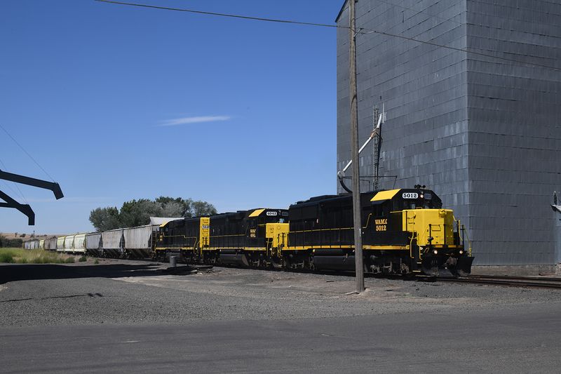 DSC_5263.JPG