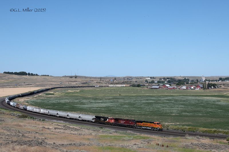 GLM_0286.jpg