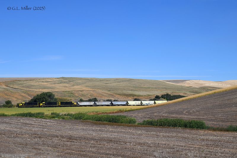 DSC_5163.JPG