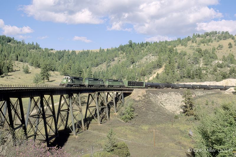 Greenhorn2.jpg