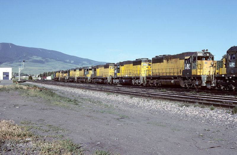 Livingston9.jpg