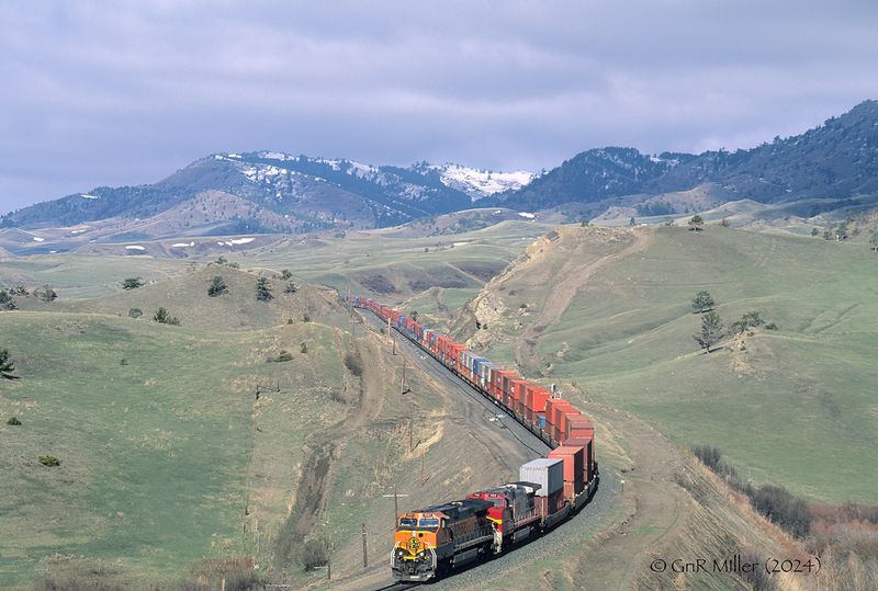 MRL