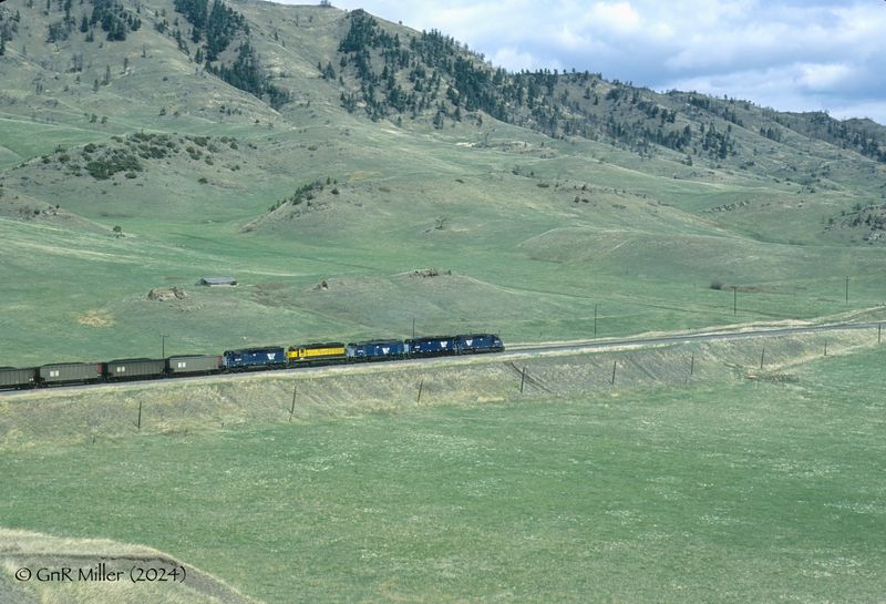 MRL