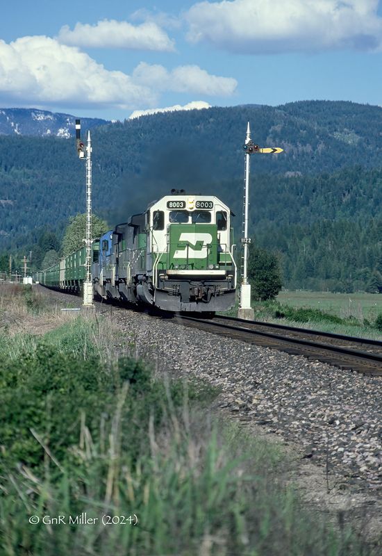 MRL