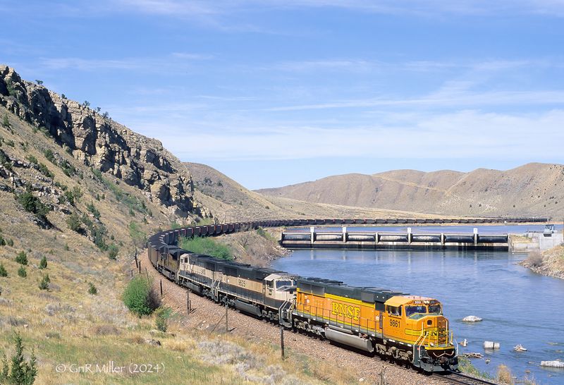 MRL
