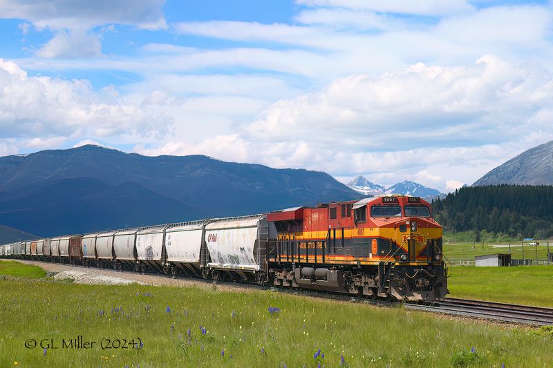 Crowsnest and Kootenay