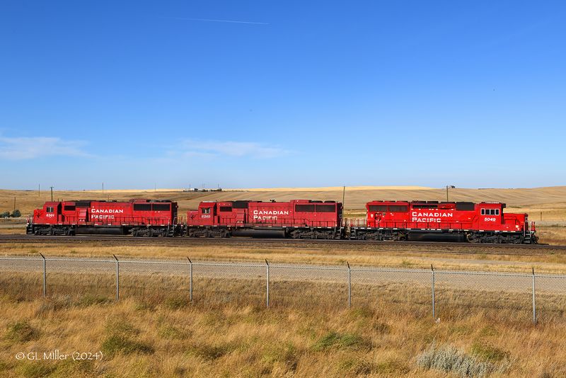 GLM_4258.p.jpg