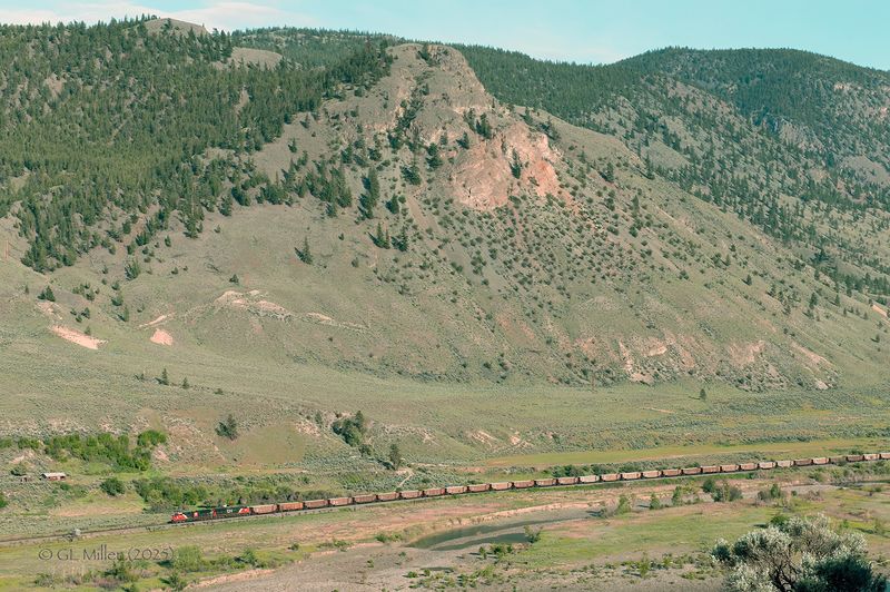 GLM_7947.jpg