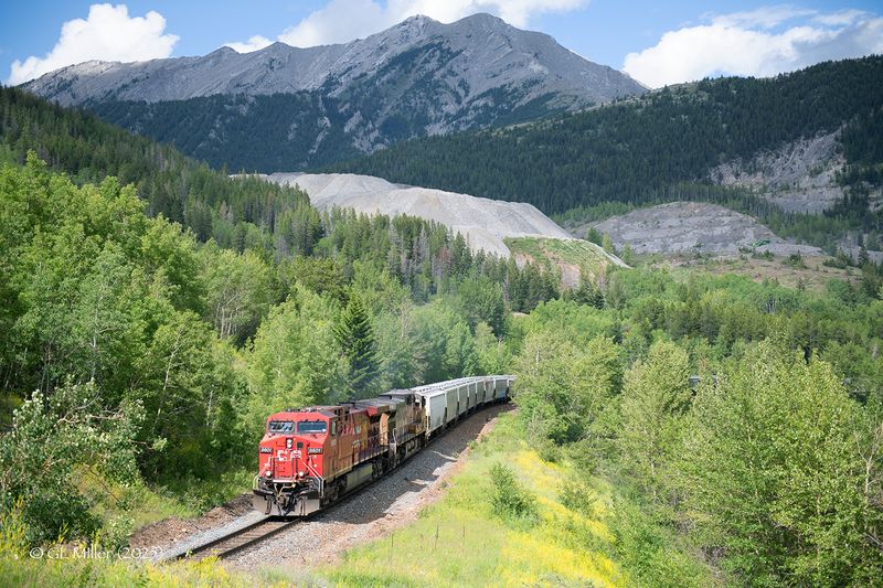 Canadian Pacific 2020