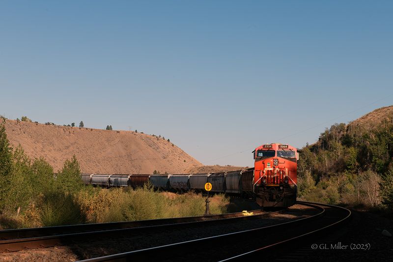 GLM_8637.jpg