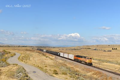 GLM_P4300.jpg