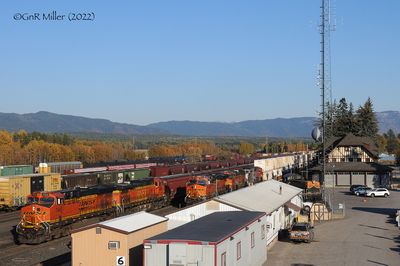 GM3P_6745.jpg