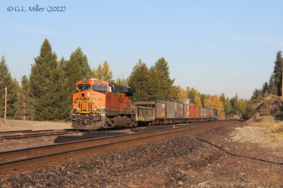 GM3P_6746.jpg