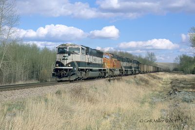 g13/92/937092/3/174537035.90886a31.JPEG
