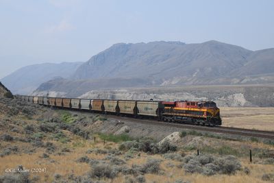g13/92/937092/3/174874778.bc03173d.JPEG
