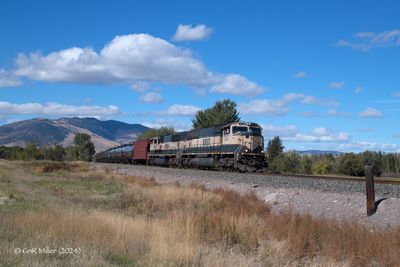 GLM_7144.p.jpg
