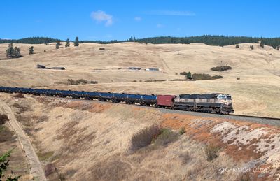 GLM_7187.p.jpg