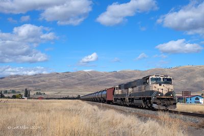 GLM_7176.p.jpg