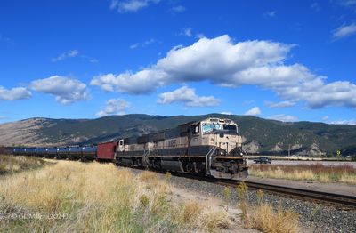 GLM_7179.p.jpg