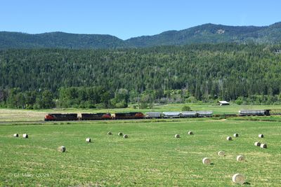 Canadian National Railway
