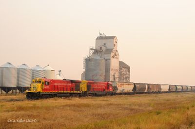 GM3_3461.p.jpg