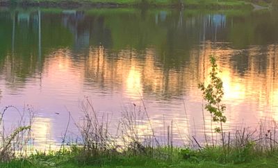 Dreamy Reflection.jpg